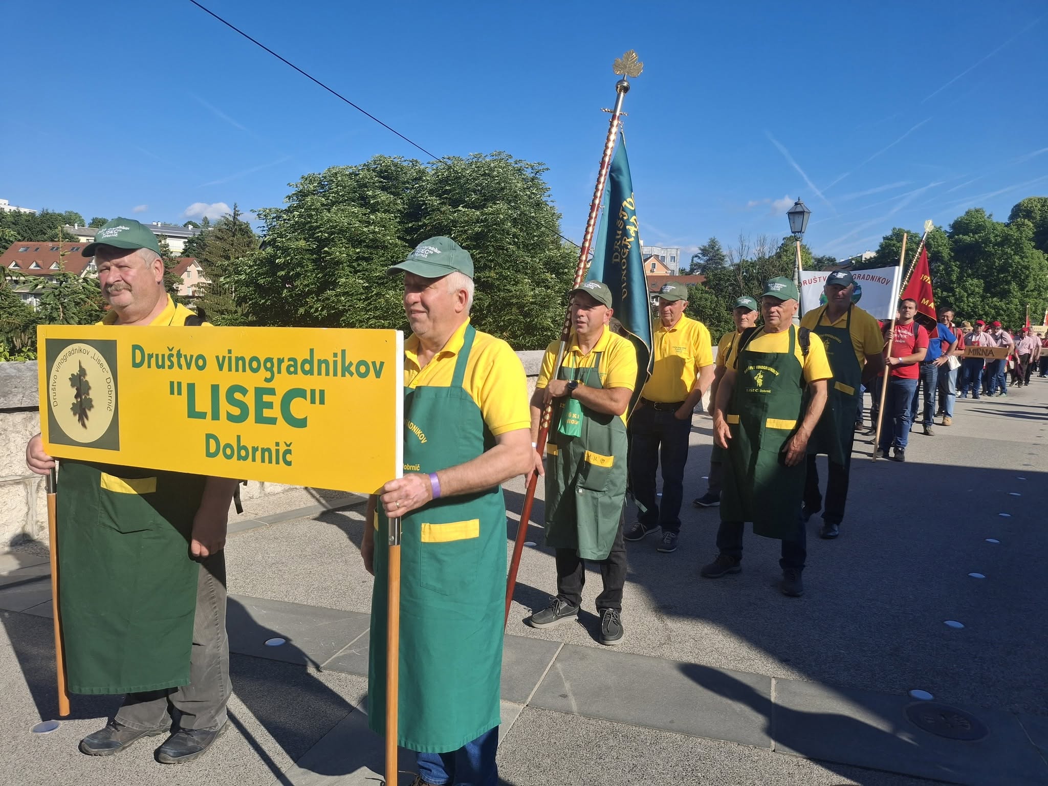 Members of the Lisec Winegrowers' Association